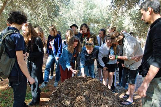 600383_531659930339158_8040865751447952659_n