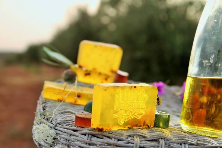 13626965_581270945378056_7614895140297317644_n