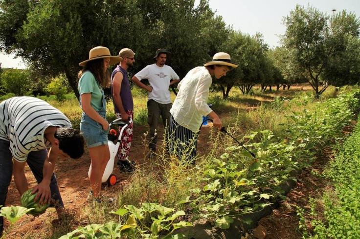 13690709_581258658712618_4454759409176394559_n